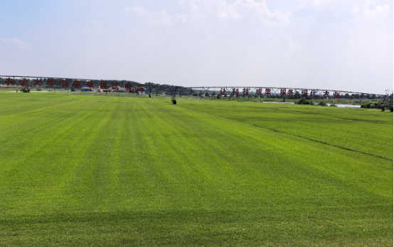 的绿色印记, 更埋藏着一 的绿色印记, 更埋藏着一