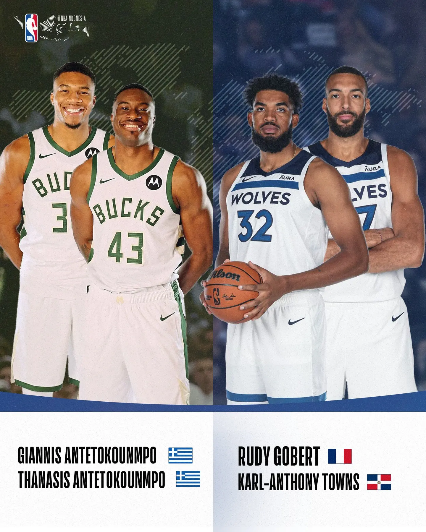 达拉斯小牛, 是加拿大球, img 达拉斯小牛, 是加拿大球, img