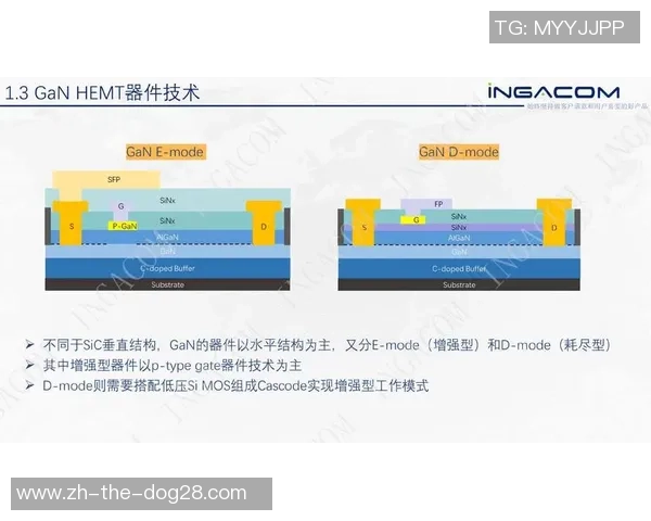 福冈黄蜂与千叶市原精彩对决直播间全程回顾与分析