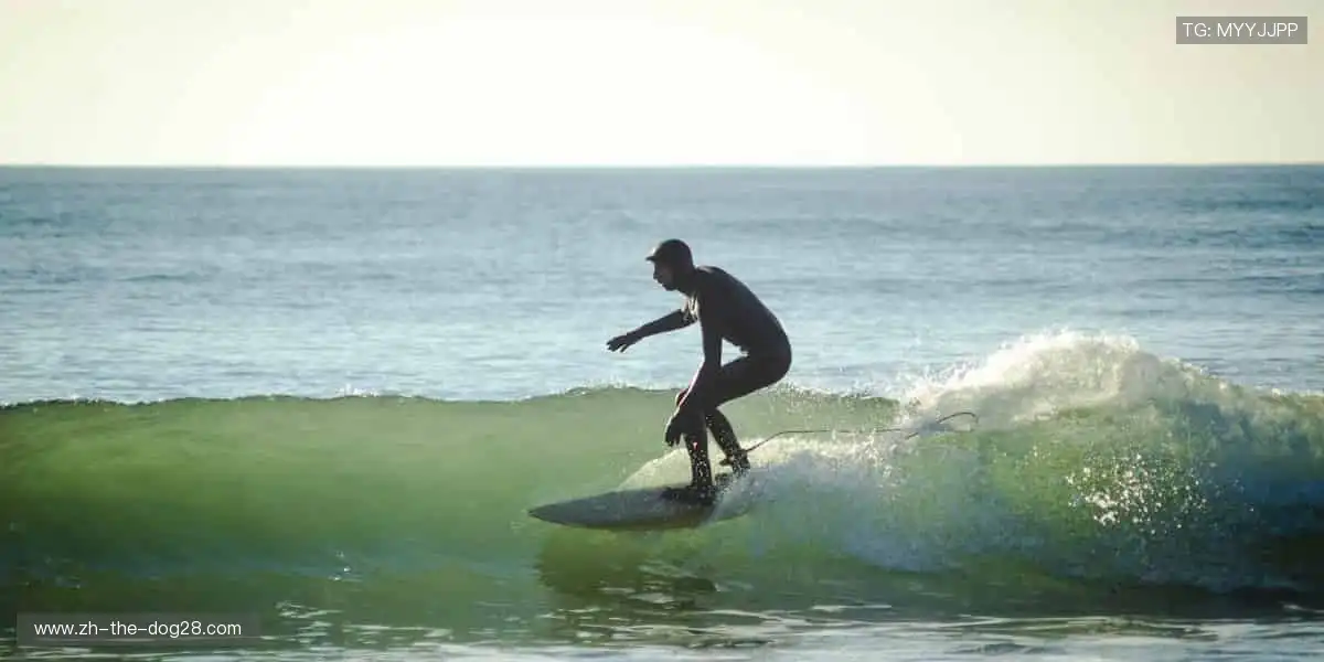 🎮 一键开启，畅享沉浸式体验！🌟